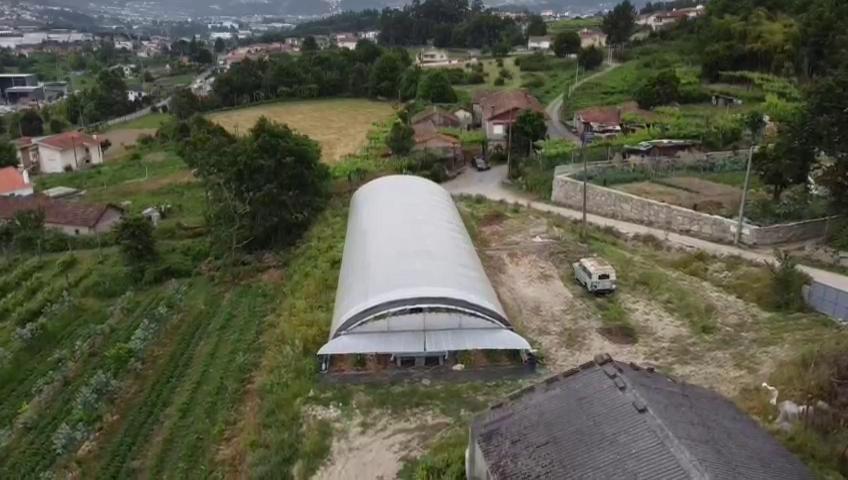 Villa Quinta Do Pinheiro Guimarães Exterior foto